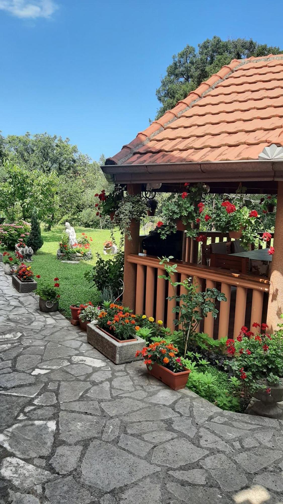 Apartmani "Dukic" Pelinovo ห้อง รูปภาพ