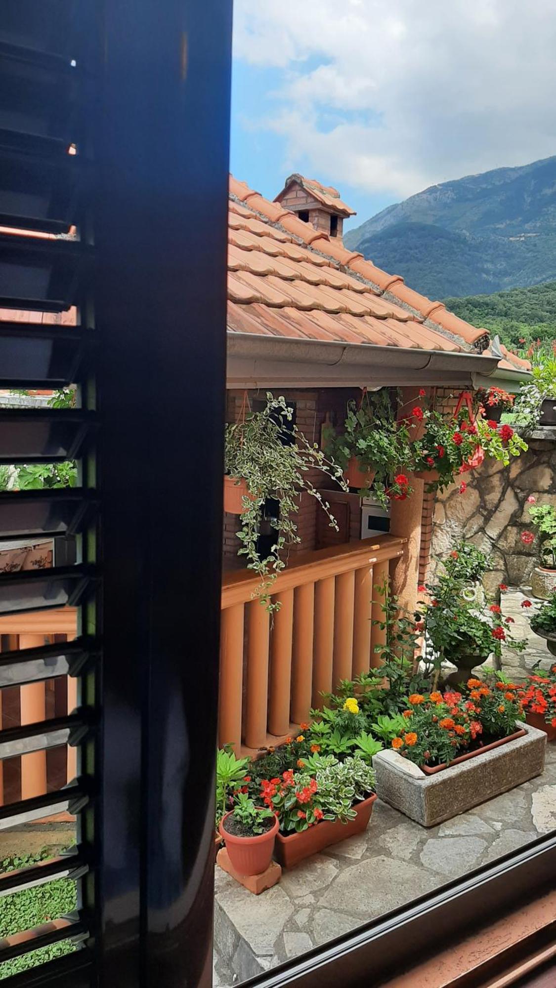 Apartmani "Dukic" Pelinovo ห้อง รูปภาพ