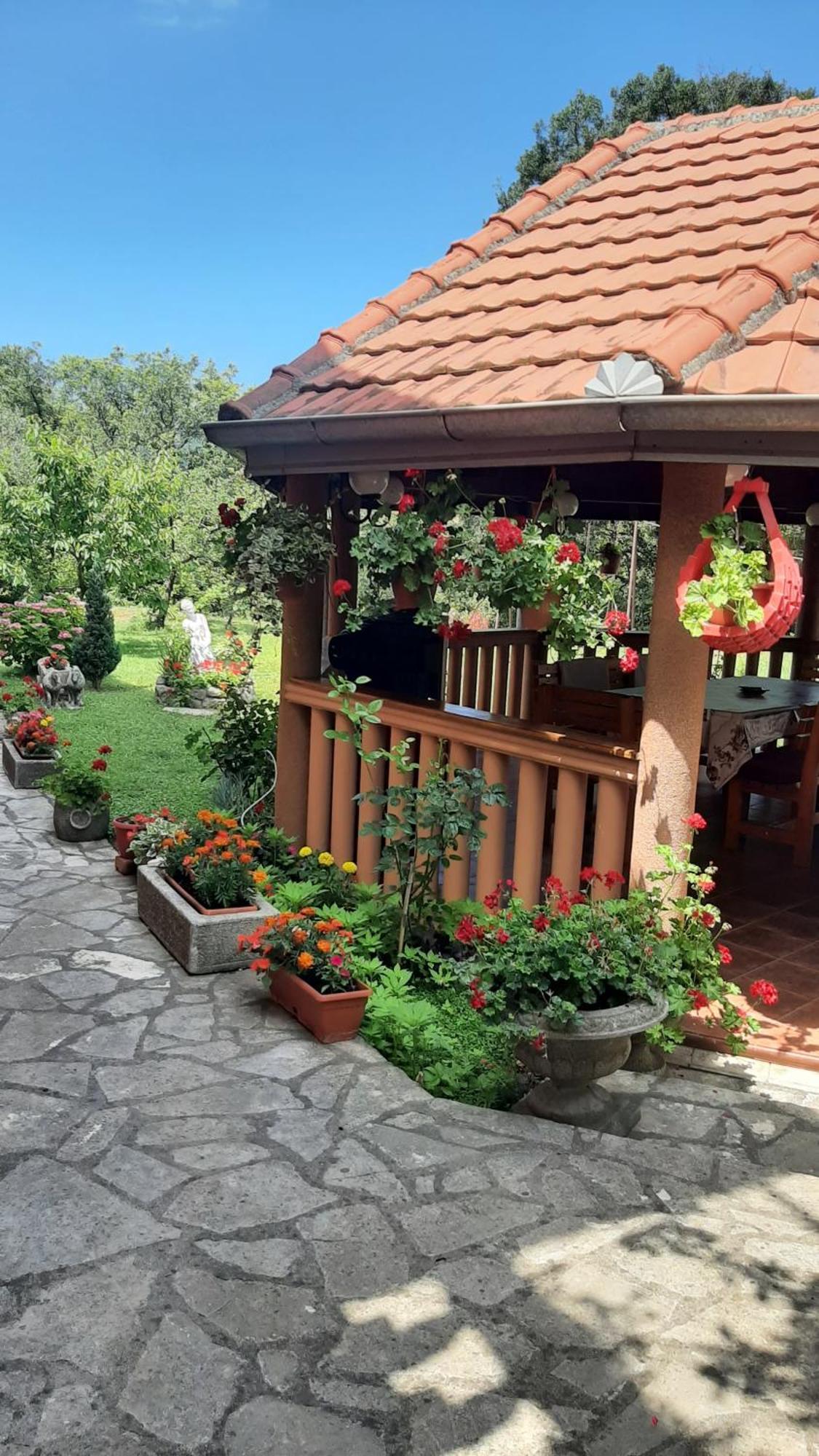 Apartmani "Dukic" Pelinovo ห้อง รูปภาพ
