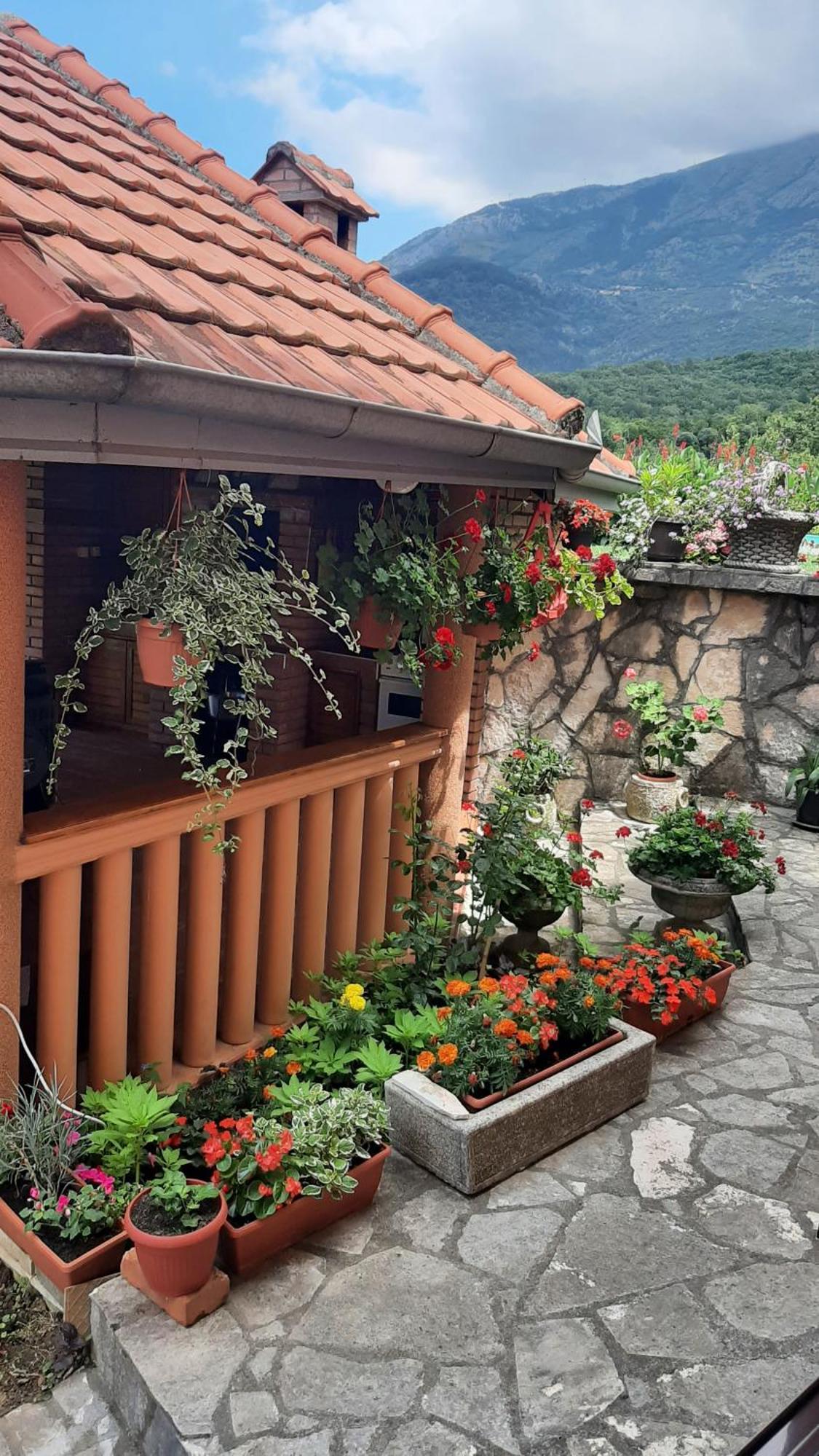 Apartmani "Dukic" Pelinovo ห้อง รูปภาพ