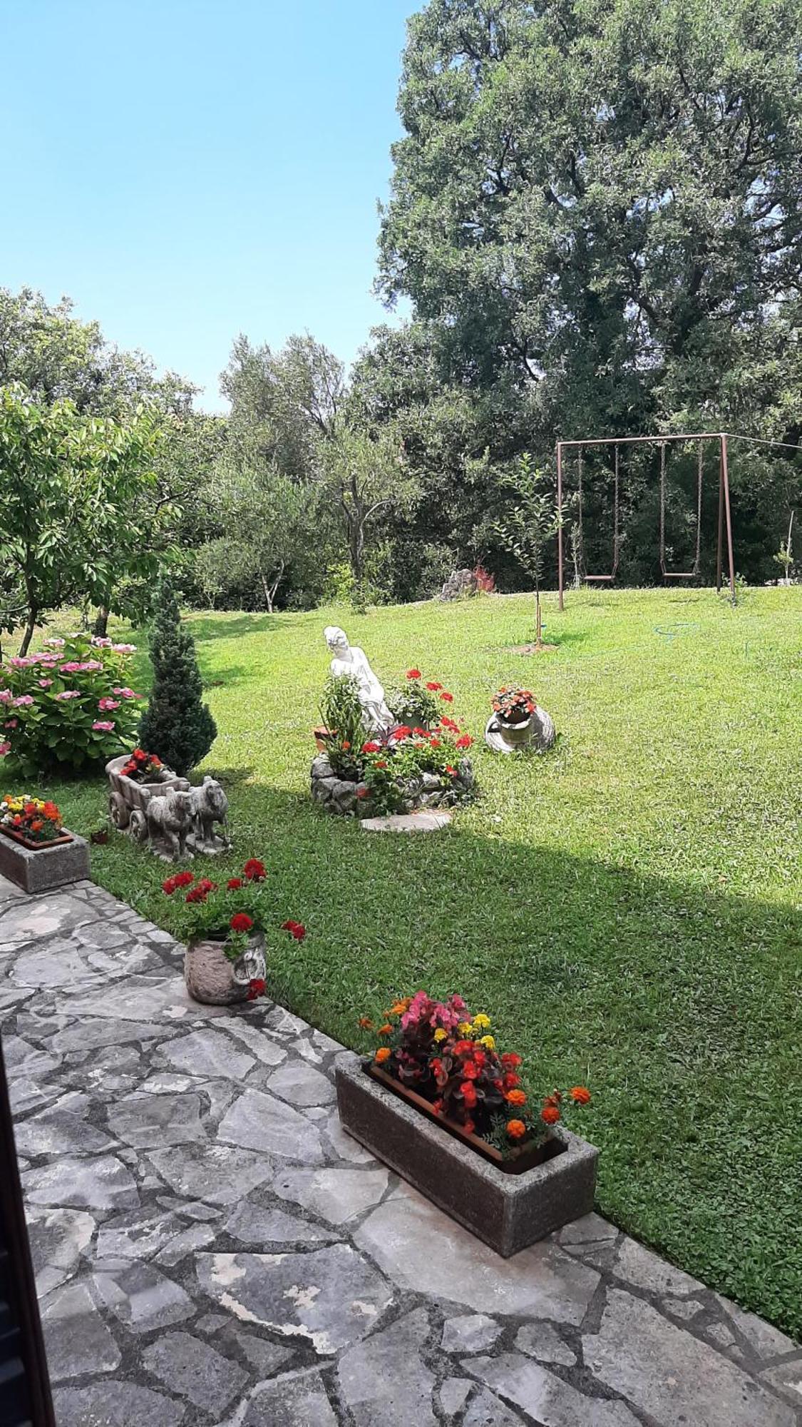 Apartmani "Dukic" Pelinovo ห้อง รูปภาพ