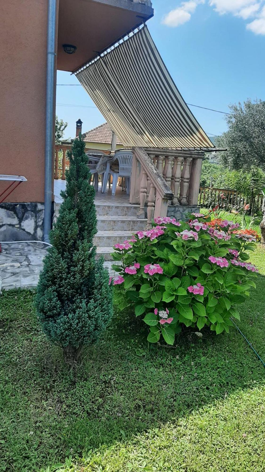 Apartmani "Dukic" Pelinovo ห้อง รูปภาพ